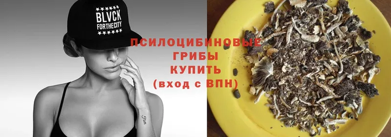 кракен как зайти  закладка  Калтан  Галлюциногенные грибы Psilocybe 